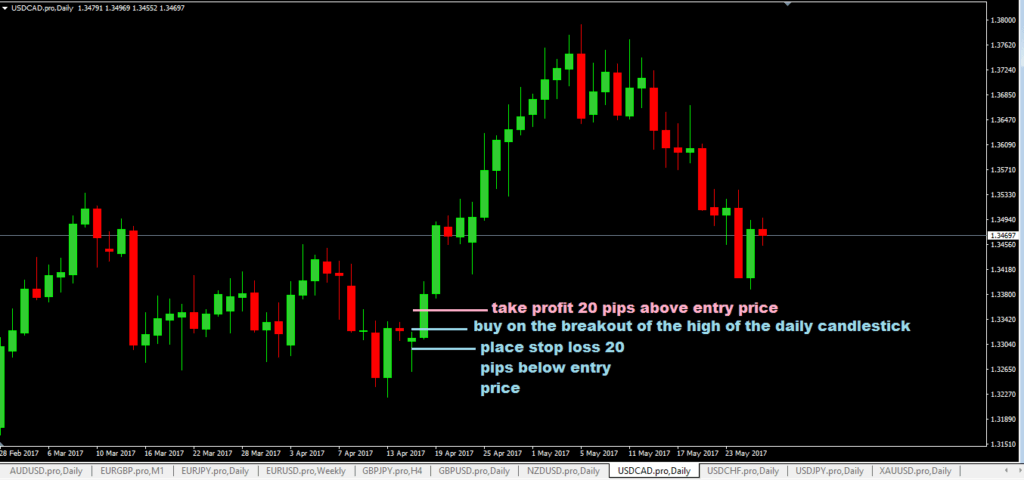 How to make 20 pips a day in forex