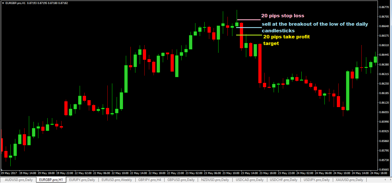 How to make 20 pips a day in forex